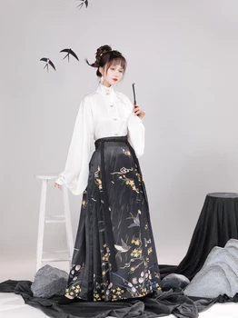 2023 סינית עתיקה שושלת מינג נשים, בגדי אופנה חדשה סגנון שרוול ארוך ארוך רופף שמלת רטרו יומי פיות hanfu להגדיר