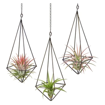 3 Pack תלוי אוויר צמח בעל גיאומטריות עציץ אוויר צמח מתלה Tillandsia קולב עם שרשרת על עיצוב הבית