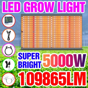 5000W LED לגדול אור 2000W פיטו המנורה 3000W הידרופוניקה אורות נורת חממה Phytolamp לגידול בתוך הבית צמח פורח