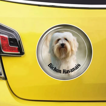 S61949# בישון Havanais הכלב דביק מדבקות הרכב מדבקה עמיד למים אוטומטי Decors על הפגוש האחורי חלון המחשב הנייד לבחור גודל