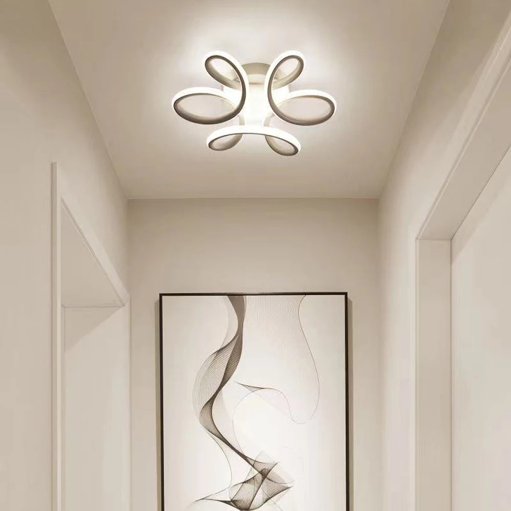 מודרני אקריליק LED במעבר מנורת תקרה עבור מסדרון מרפסת הכניסה תקרה נברשת אור הביתה מקורה עיצוב luminaire plafonnier - 2