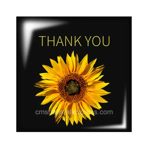 FB0335 פרחים תודה אוהבת מילים 10pcs מעורב 12 מ 