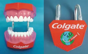הפה האנושי שיניים מודל טיפול שיניים רפואי אנושי דגימות מודל משלוח חינם