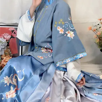 סינית מסורתית Hanfu חליפת נשים עממי מזרחי עתיק מאות מקפלים חצאיות סתיו חורף קטיפה פיית תחפושות קוספליי