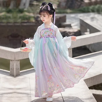קרנבל פרח פיות Cosplay תלבושות ריקוד Hanfu סינית מסורתית שמלה קלאסית רקמה עתיקה תלבושות לבמה לרקוד.